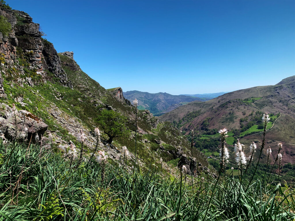 Penas de itsusi depuis Bidarray