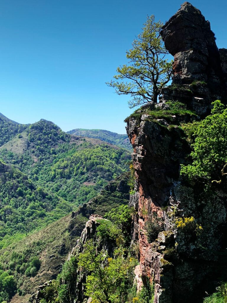 Penas de itsusi depuis Bidarray